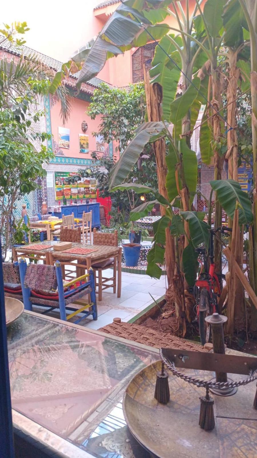 Riad Carole - Perfect For Families & Groups Marrakesh Eksteriør bilde
